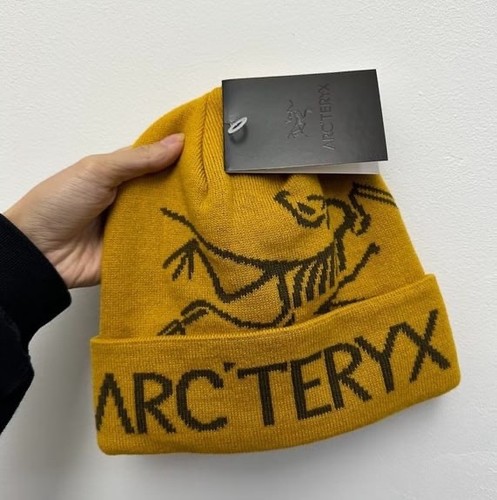 Arc teryx bird head - bird,