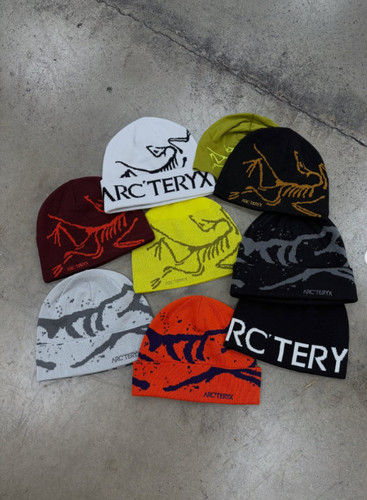 Arcteryx bird head toque - arcteryx,