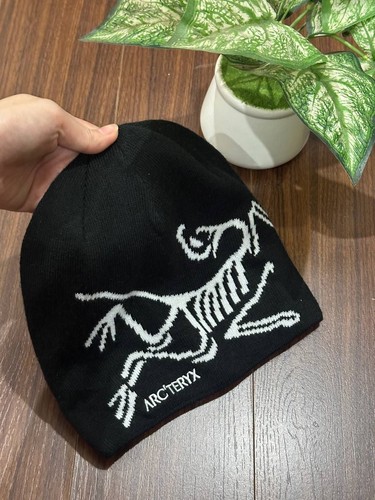 Arc teryx bird head - head, toque