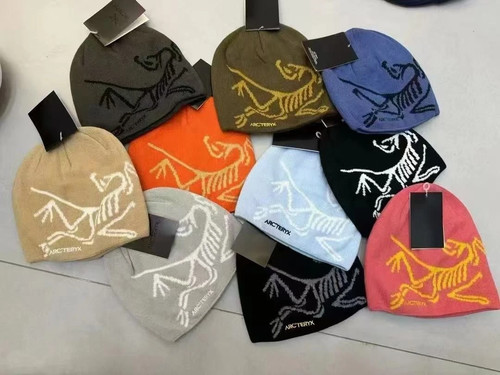 Arcteryx bird head toque - arcteryx,